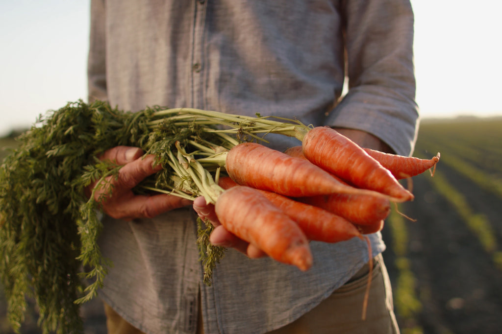 Organic Vegetables